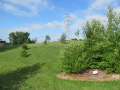 TOMLINSON ARBORETUM