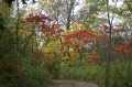 October 2006