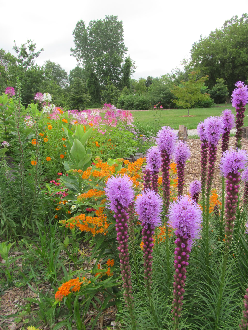 Taken 1980-01-01 00:00:15-08