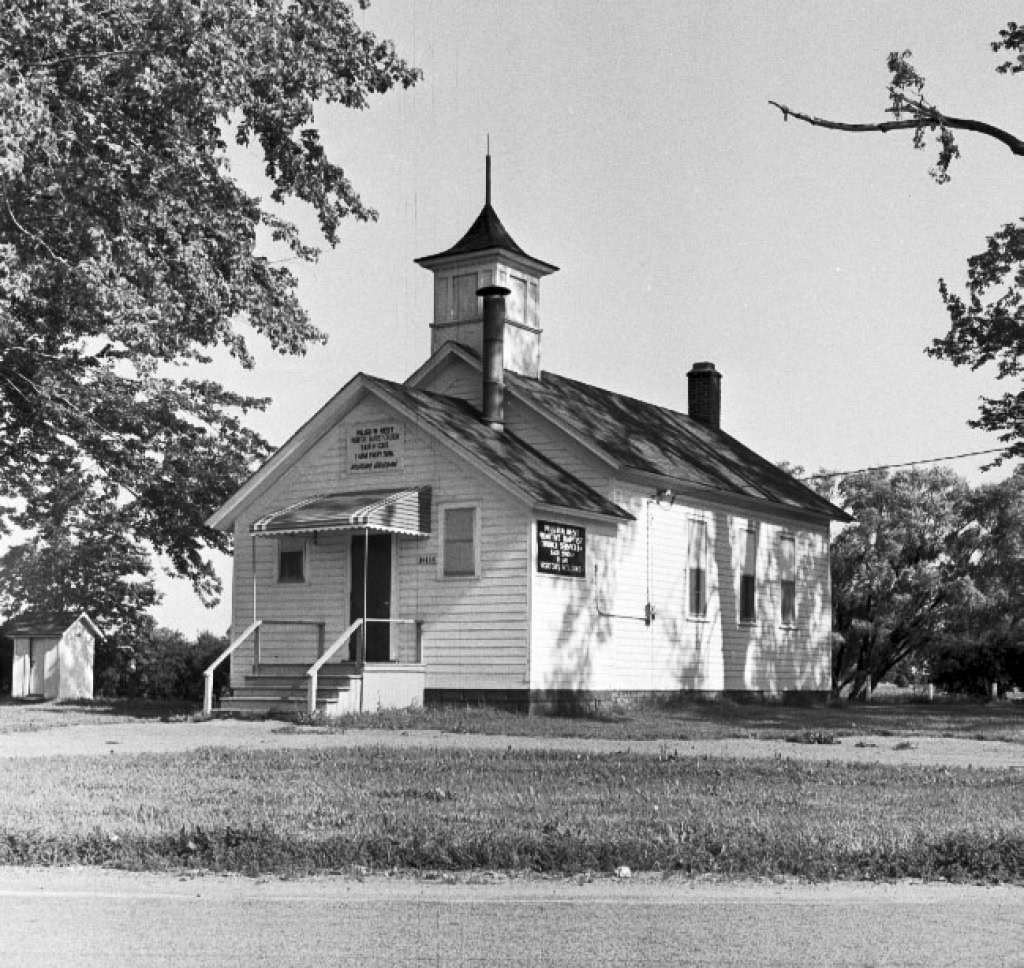 Fox School