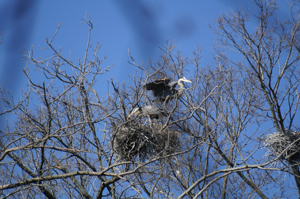 Taken 1969-12-31 16:00:00-08