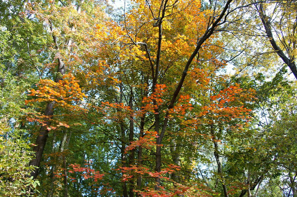 OCTOBER 2008