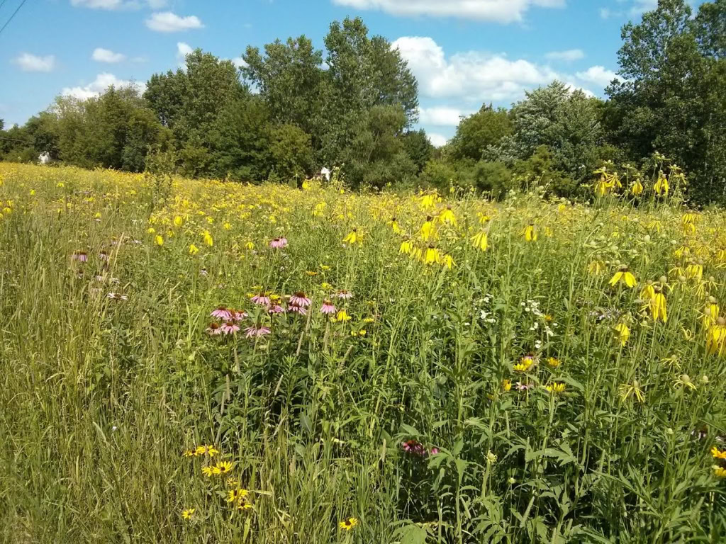 Taken 1969-12-31 16:00:00-08