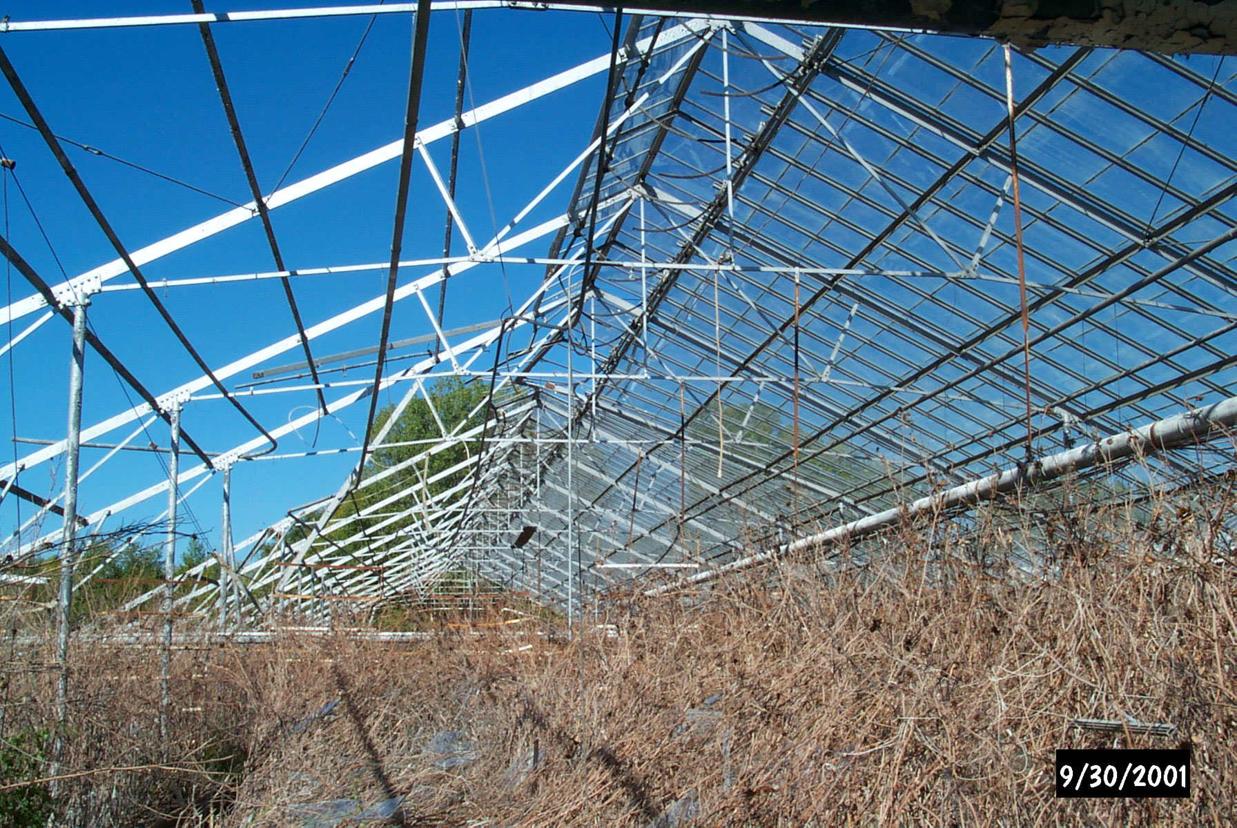 Mount Clemens Rose Garden