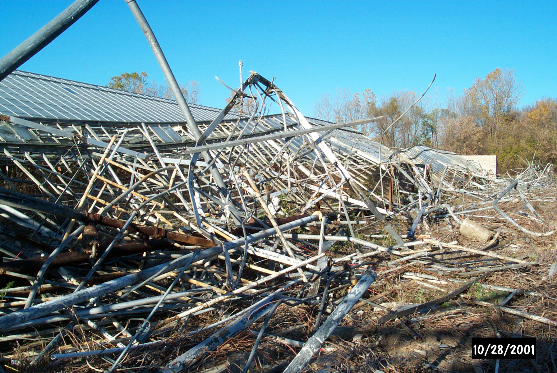 Mount Clemens Rose Garden