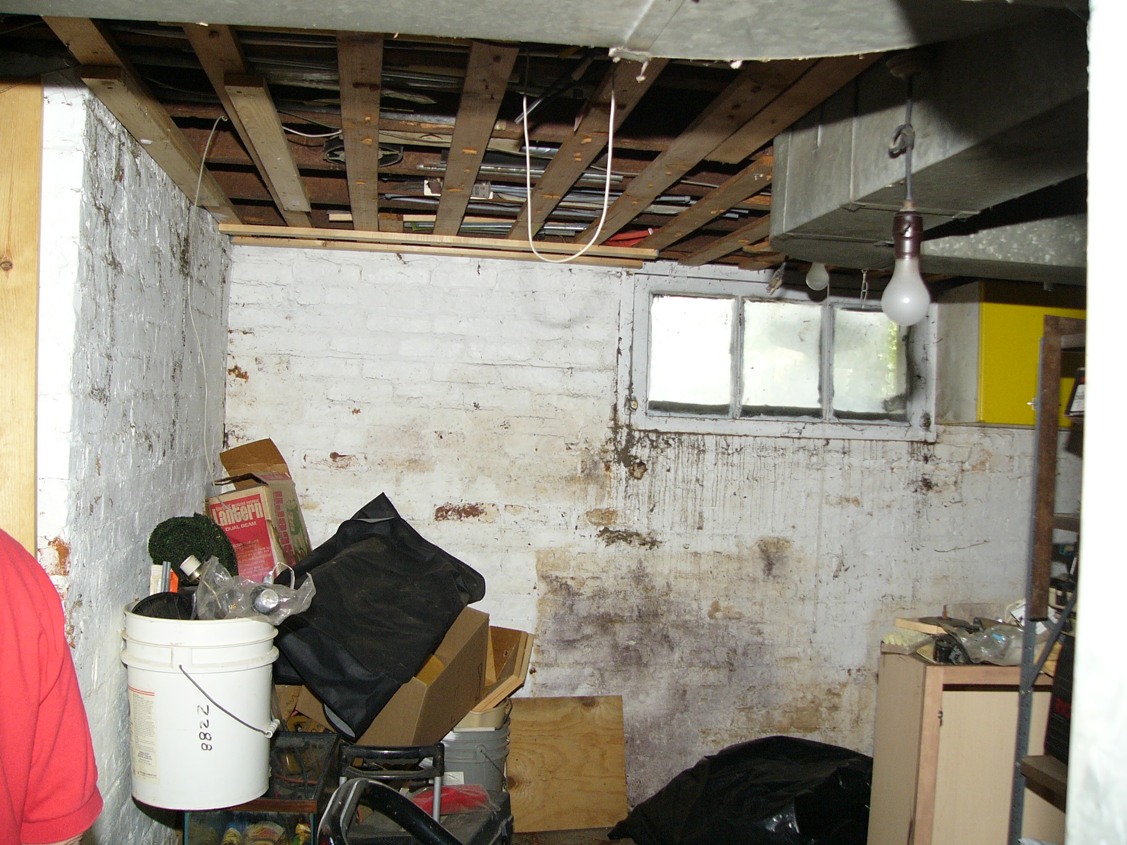 Clinton Grove Basement