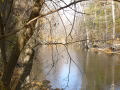 Budd Park Nov 2005