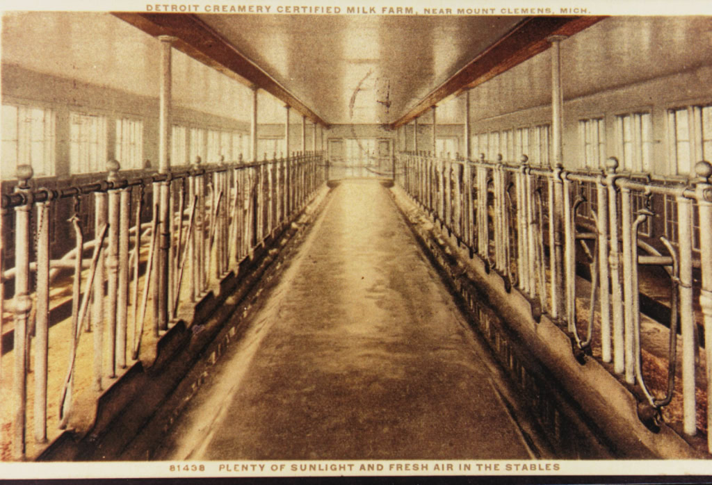 these are called stanchions