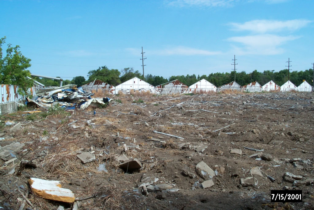 Mount Clemens Rose Garden