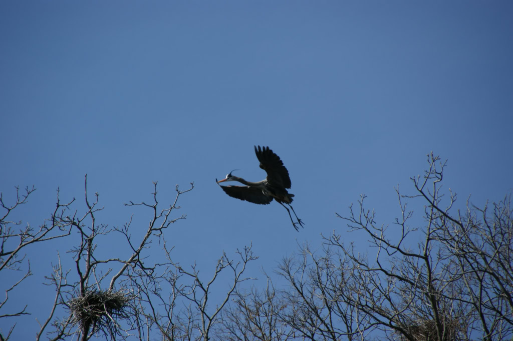 Taken 1969-12-31 16:00:00-08