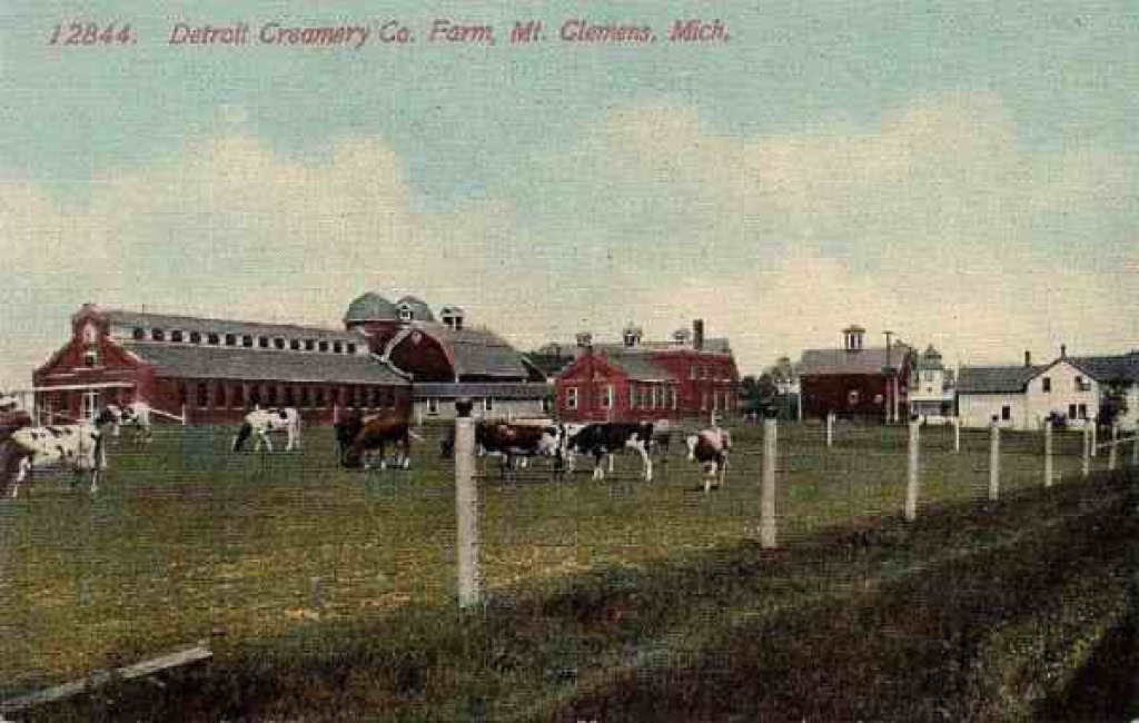 Detroit Creamery