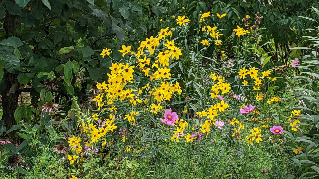 gardens